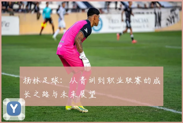 杨林足球：从青训到职业联赛的成长之路与未来展望