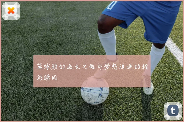 篮球颖的成长之路与梦想追逐的精彩瞬间