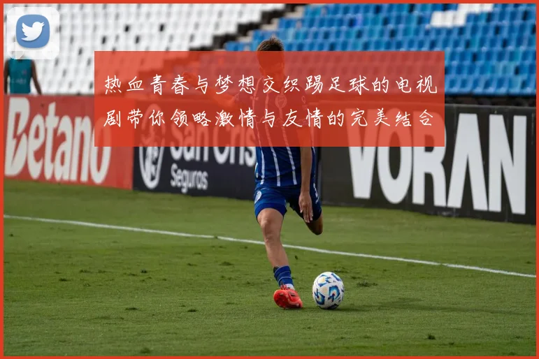 热血青春与梦想交织踢足球的电视剧带你领略激情与友情的完美结合