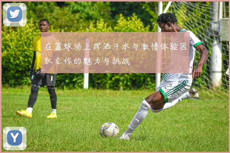 在篮球场上挥洒汗水与激情体验团队合作的魅力与挑战